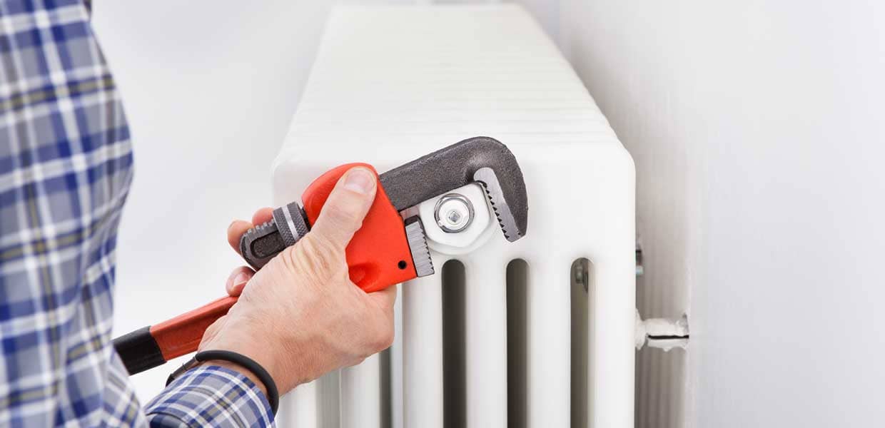 Petek Temizliği Resim